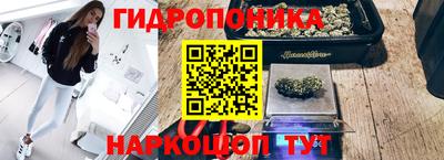 шишки Малгобек